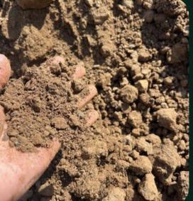 Real topsoil in hand for landscaping, from HEMWARA CO., LTD.